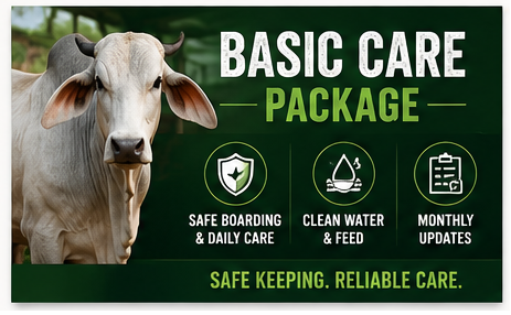 Basic Care Package