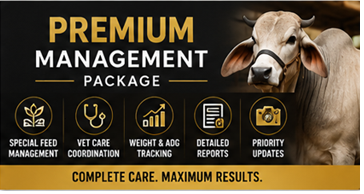 Premium Management Package